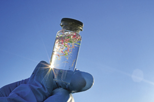 El Costo Oculto de la Contaminación por Microplásticos
